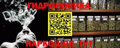 ПСИЛОЦИБИНОВЫЕ ГРИБЫ Канаш