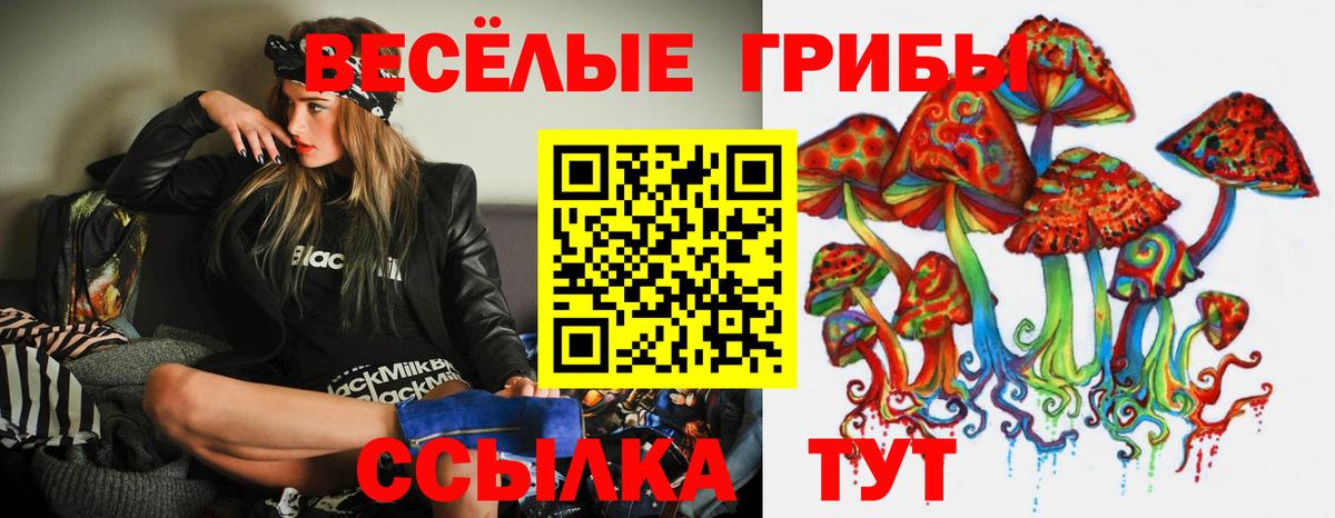 Псилоцибиновые грибы MAGIC MUSHROOMS  Вход с VPN  Кулебаки 